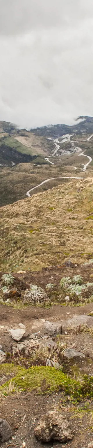 Erlebe Natur pur im Puracé Nationalpark